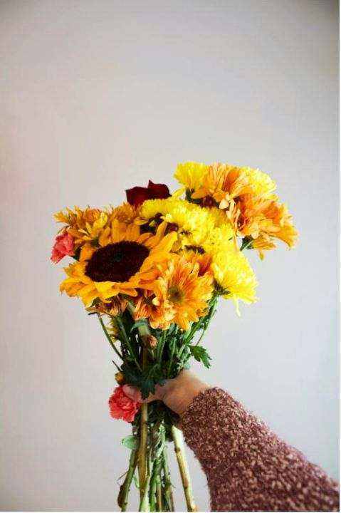 Seasonal flowers closeup