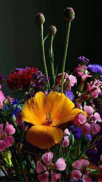 Wild seasonal bouquet