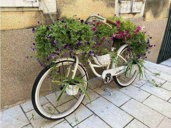 Delicate posy