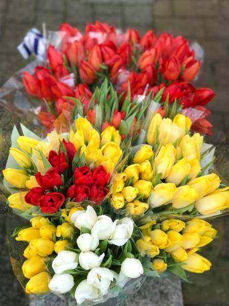 Bold seasonal stems