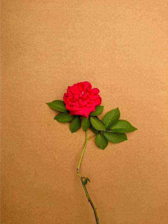 Florist arranging bouquet